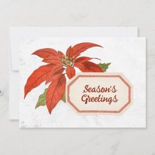 Poinsettia Flower Season's Greetings Christmas Red Holiday Card