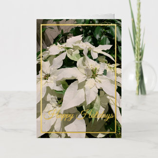 Poinsettia Folded Foil Holiday Card No: 1