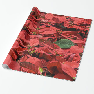 Poinsettia Holiday Christmas Gift Wrapping paper