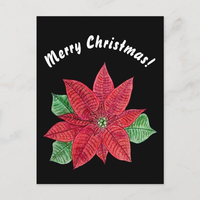 Poinsettia - Merry Christmas Postcard - Black (Front)