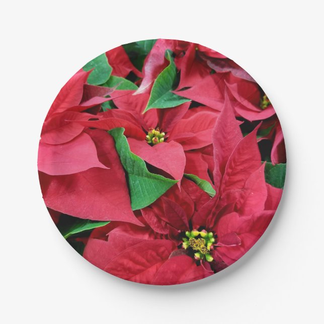 Poinsettia Paper Plate (Front)
