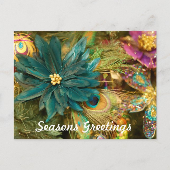 Poinsettia Peacock Feather Christmas Postcard (Front)