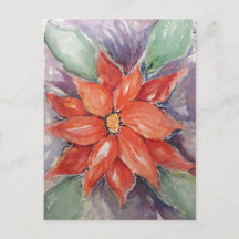 Poinsettia