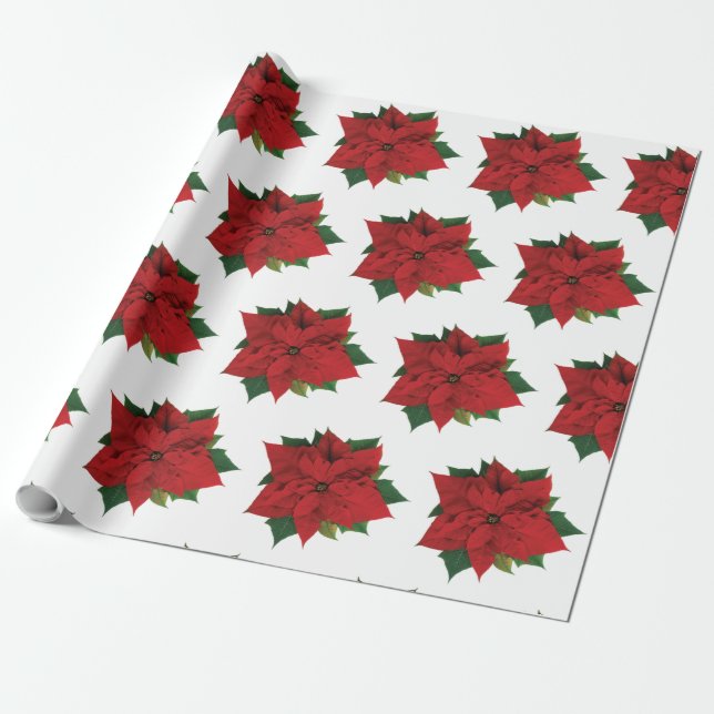 Poinsettia Wrapping Paper (Unrolled)
