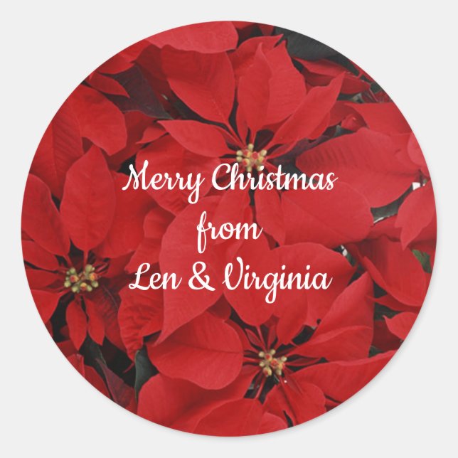 Poinsettias for Christmas, ready to customise Classic Round Sticker (Front)