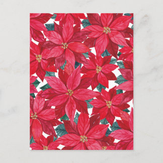 Poinsettias Winter Shelter Postcard