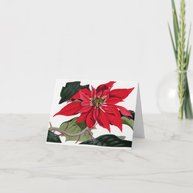 Poinsettiia Holiday Card (Front)