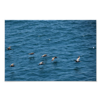 Point Dume Photo Print