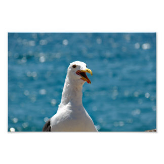 Point Dume Photo Print