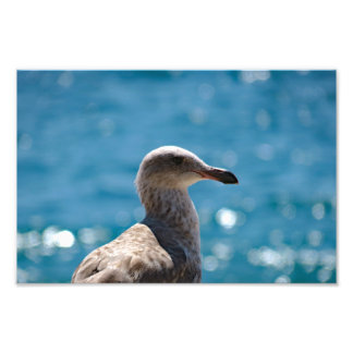 Point Dume Photo Print