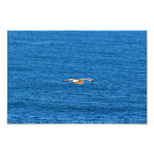 Point Dume Photo Print
