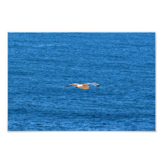Point Dume Photo Print