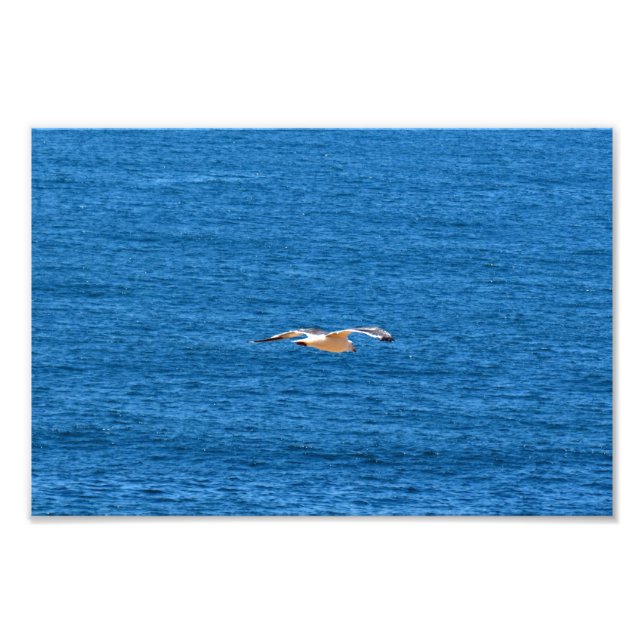 Point Dume Photo Print (Front)