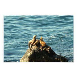 Point Dume State Beach Photo Print