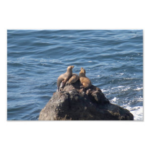 Point Dume State Beach Photo Print