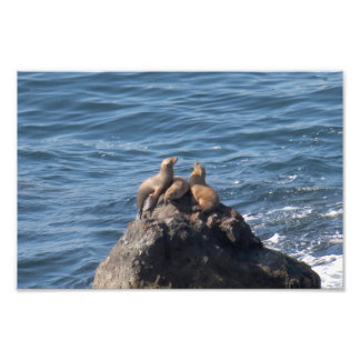 Point Dume State Beach Photo Print