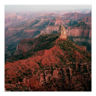 Point Imperial and Mount Hayden at Sunset Poster