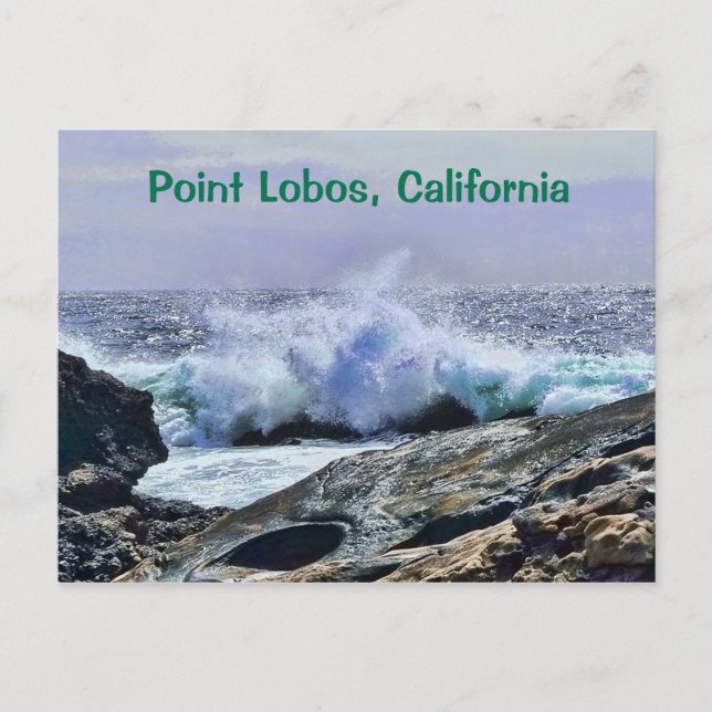 Point Lobos Central Coast California Postcard (Front)