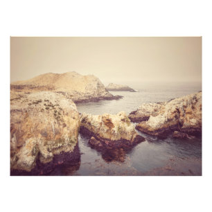 Point Lobos Coast Photo Print