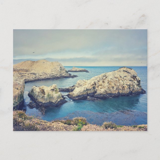 Point Lobos Coastal Landscape Postcard (Front)