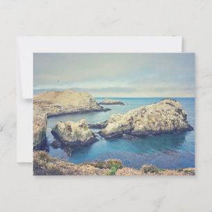 Point Lobos Coastal Landscape Postcard