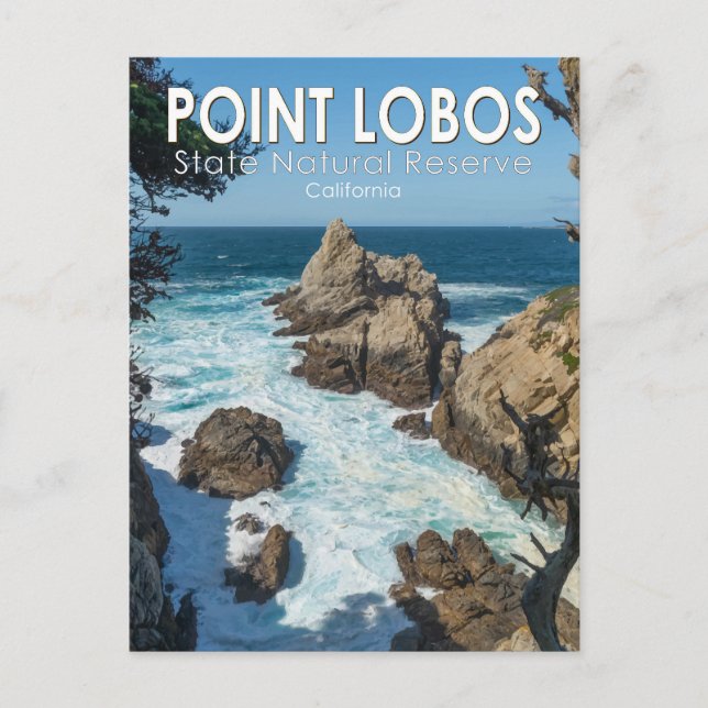 Point Lobos State Natural Reserve California Postcard (Front)
