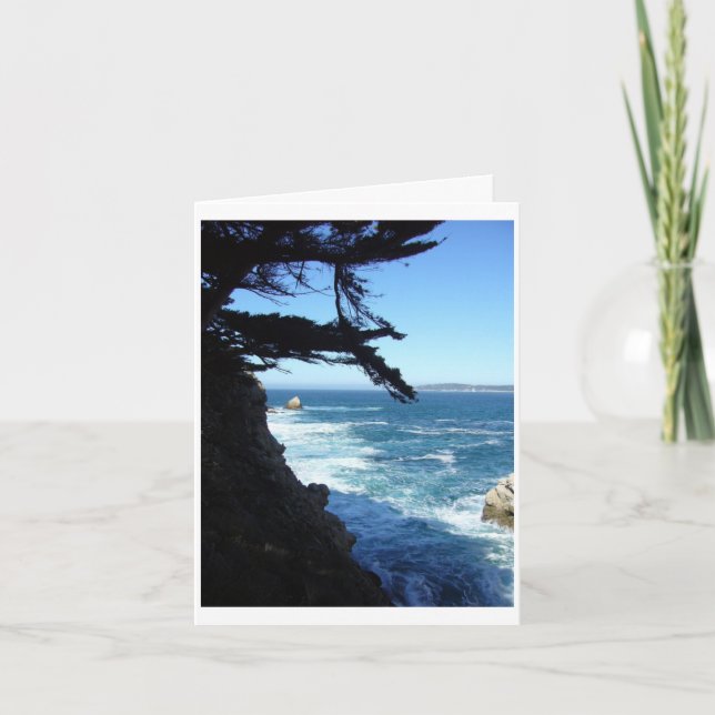 Point Lobos Thank You Card (Front)