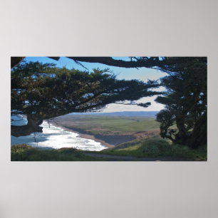 Point Reyes Among Trees Poster