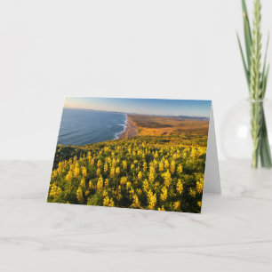 Point Reyes National Seashore California Card