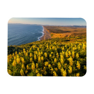 Point Reyes National Seashore California Magnet