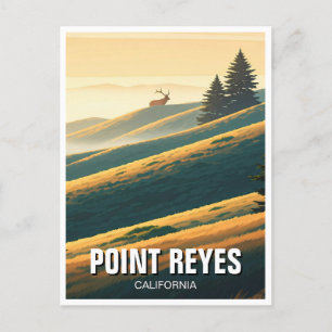 Point Reyes National Seashore Elk Postcard