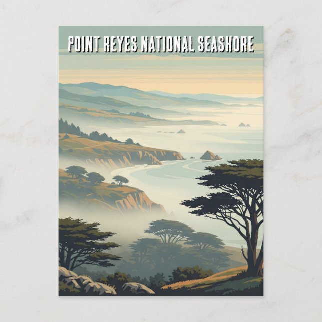 Point Reyes National Seashore Mist Postcard (Front)