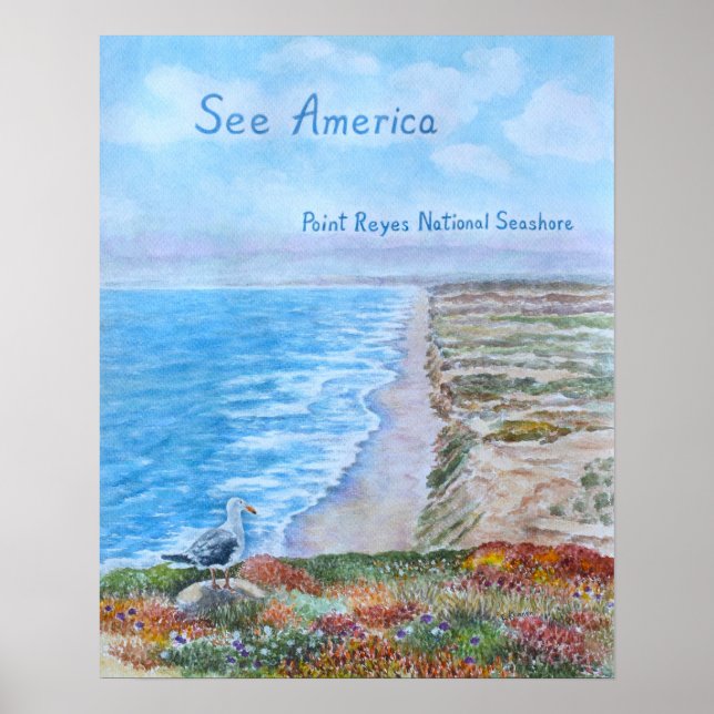 Point Reyes National Seashore Poster (Front)