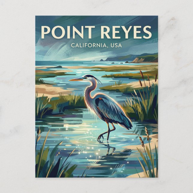 Point Reyes National Seashore USA Postcard (Front)