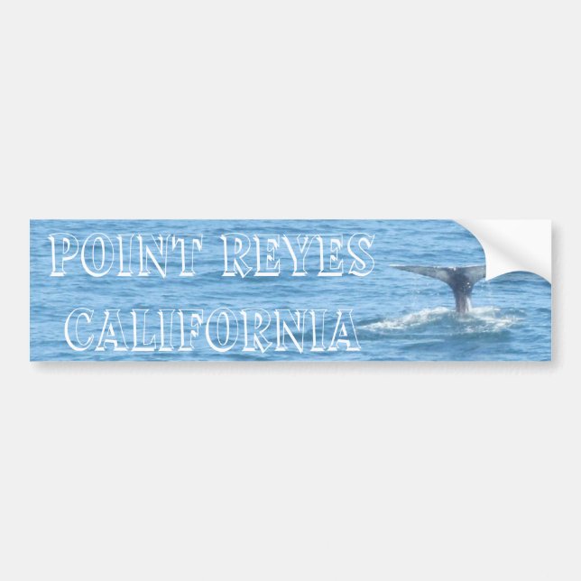 Point Reyes Whale Tail Bumper Sticker (Front)