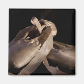 Pointe Shoes Magnet