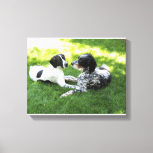 Pointer and Setter Canvas Print