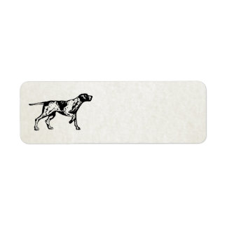 pointer dog