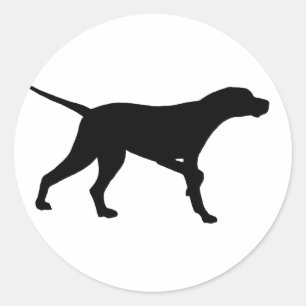 Pointer Dog (in black) Classic Round Sticker