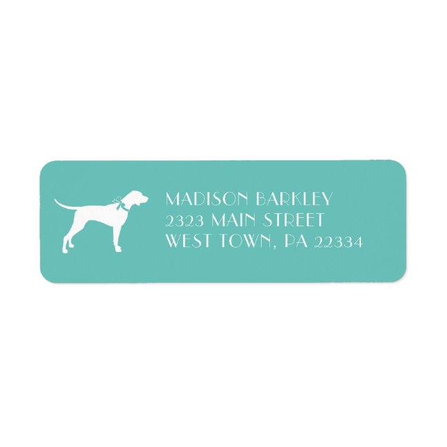 Pointer Dog Puppy English Setter (Front)