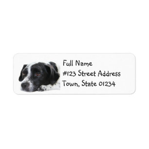 Pointer Dog Return Address Label