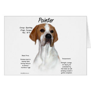 Pointer History Design