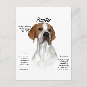 Pointer History Design Postcard