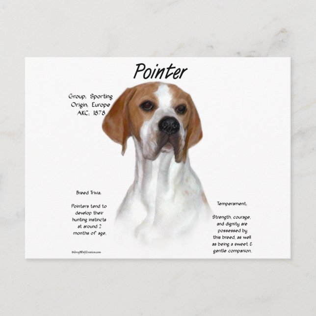 Pointer History Design Postcard (Front)