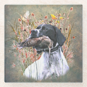 Pointer, Hunting Woodcock Beverage Coaster