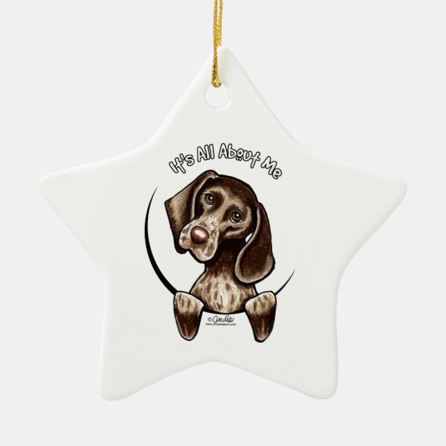 Pointer IAAM Ceramic Tree Decoration (Front)