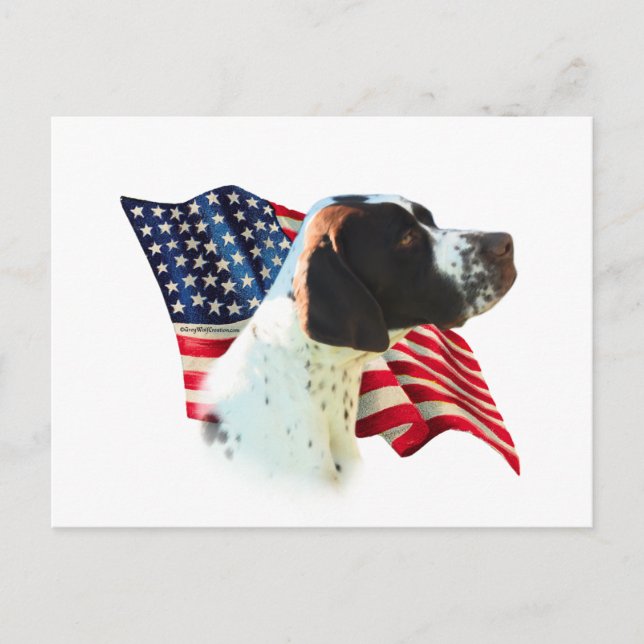 Pointer (liver)  Flag Postcard (Front)