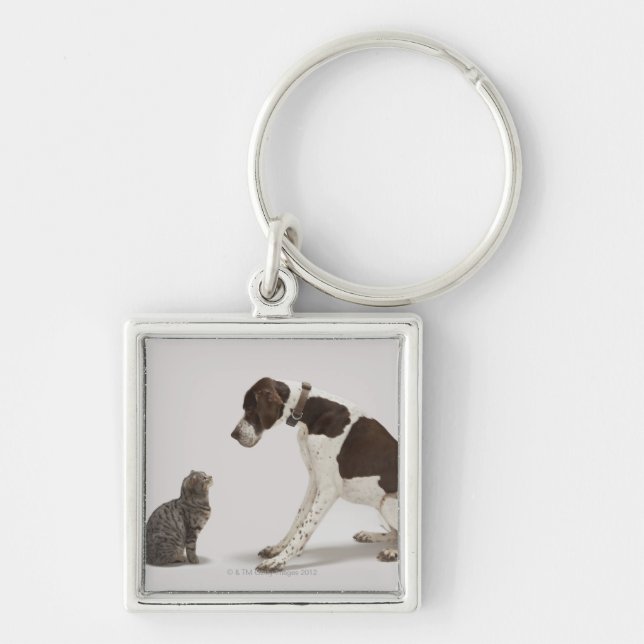 Pointer looking down at cat key ring (Front)
