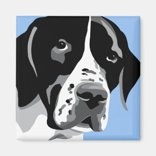Pointer Magnets