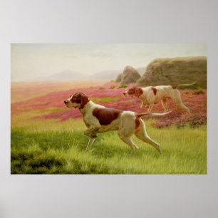 Pointers in a Landscape, 19th century Poster